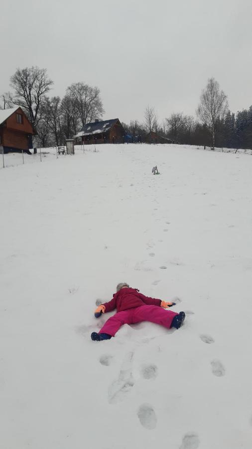 Przytulne Na Poddaszu Jelenia Góra Extérieur photo